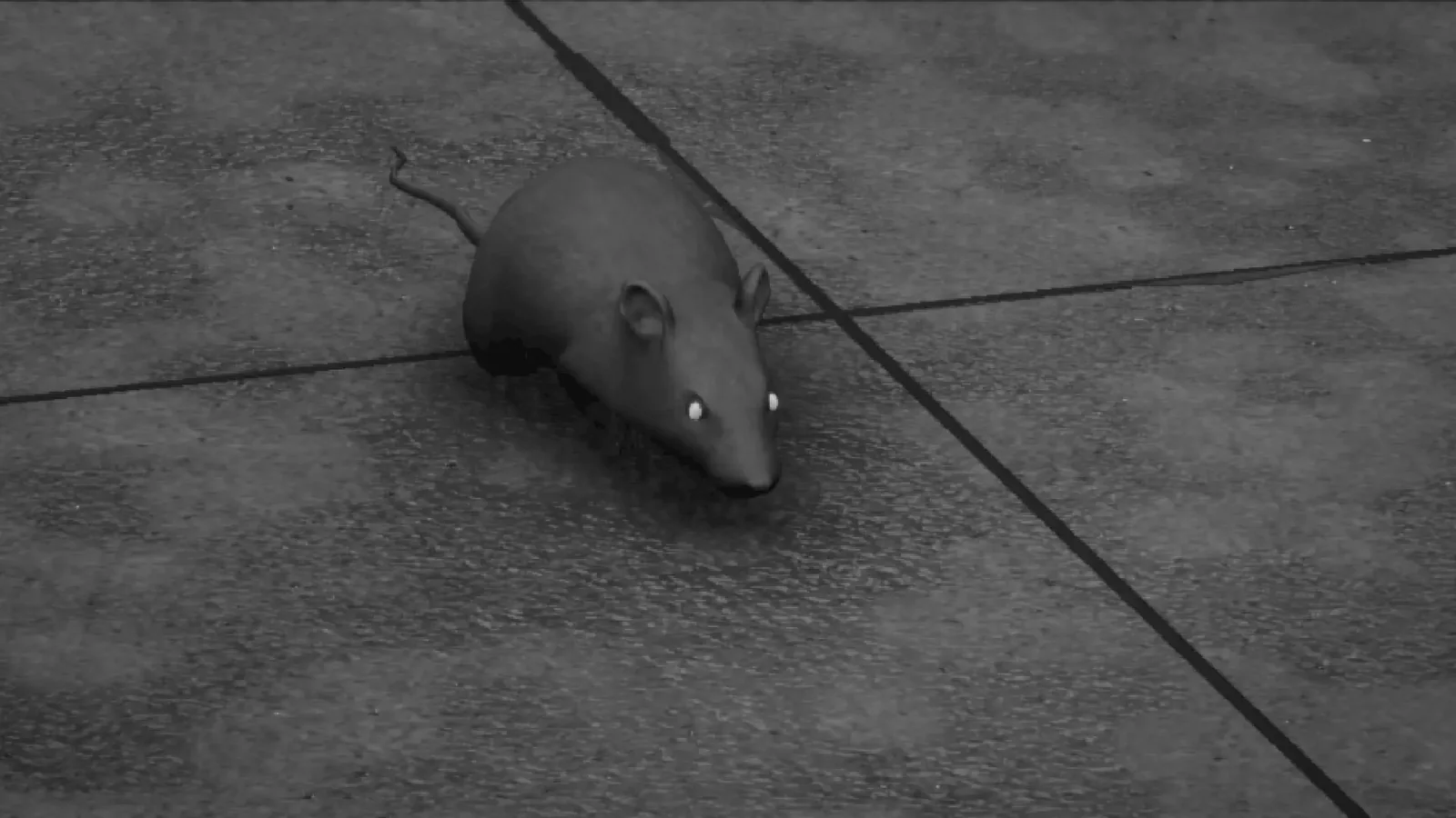 The same moment at 8× zoom: a rat with glowing eyes crossing the concrete slabs.