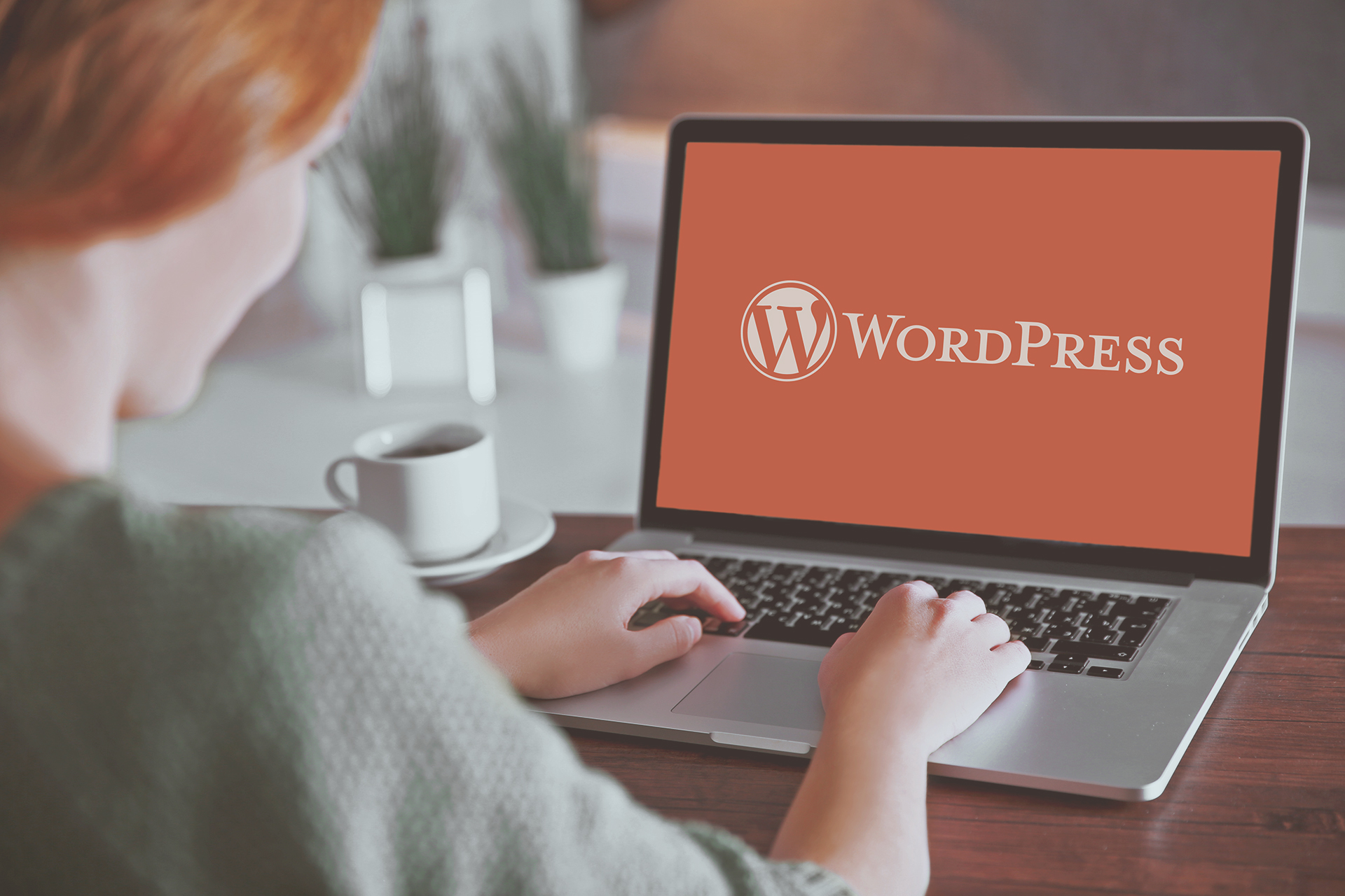 wordpress-launches-new-recurring-payments-feature-but-is-it-right-for